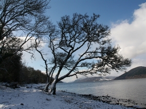 Shores of Loch Ness outside Balachladaich